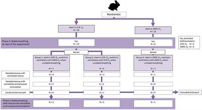 Increasing Respiratory Effort With 100% Oxygen During Resuscitation of Preterm Rabbits at Birth